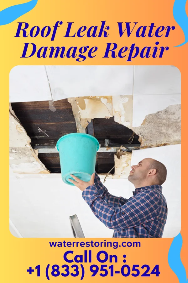 Roof Leak Water Damage Repair in Lawrenceville, NJ