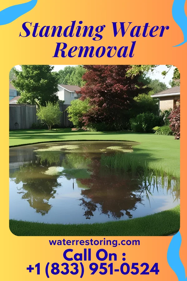 Standing Water Removal in Lawrenceville, NJ